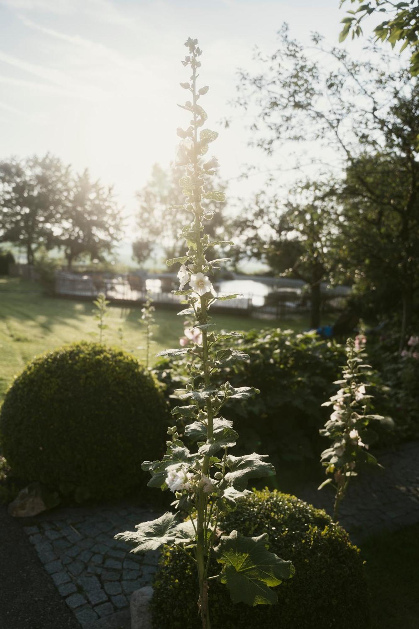 Hotel Oelerhof